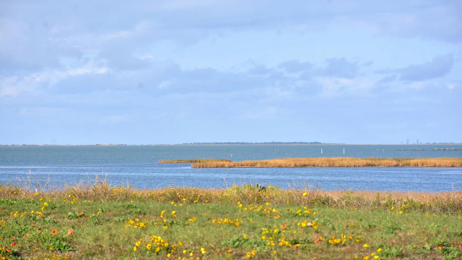 Spectacular Growth on Galveston’s West End