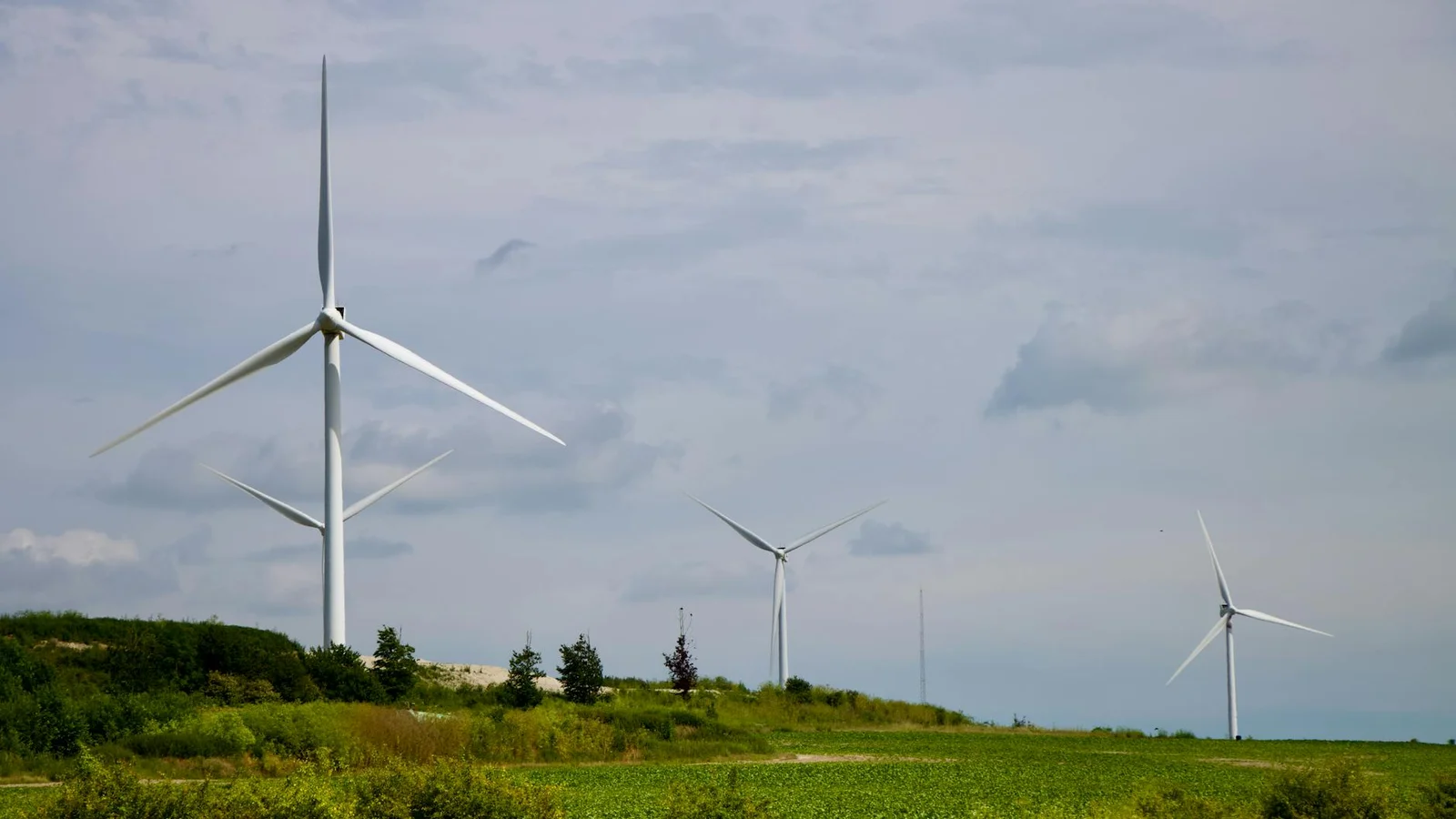 Texas Clean Energy Future Dimmed by Trump’s “Big Beautiful Bill,” Experts Warn