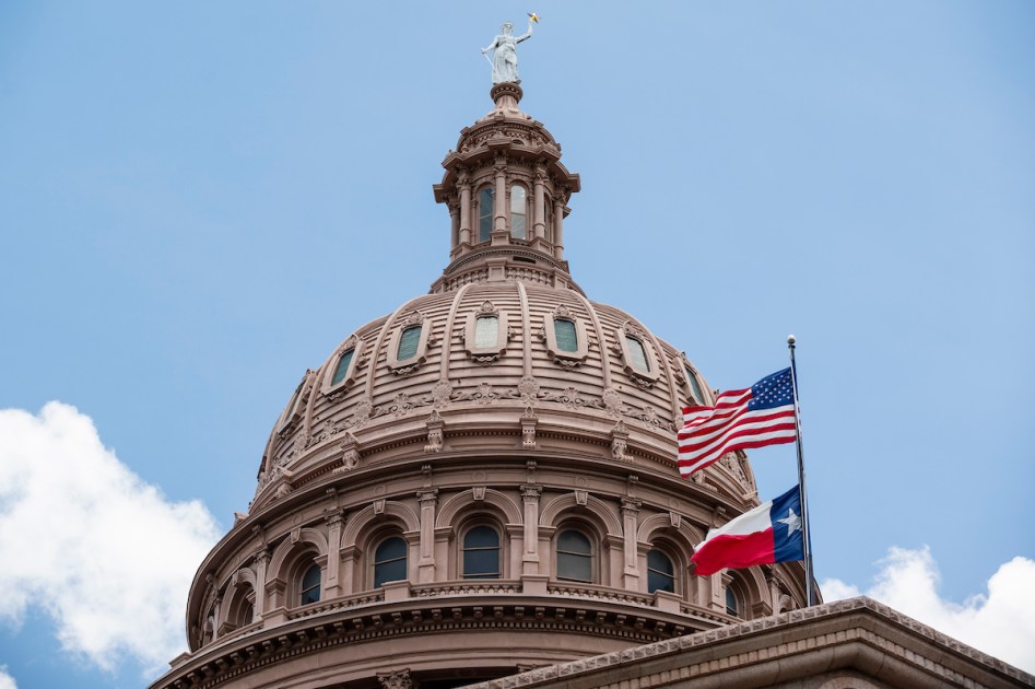 Houston Republicans Unite Behind Party Platform