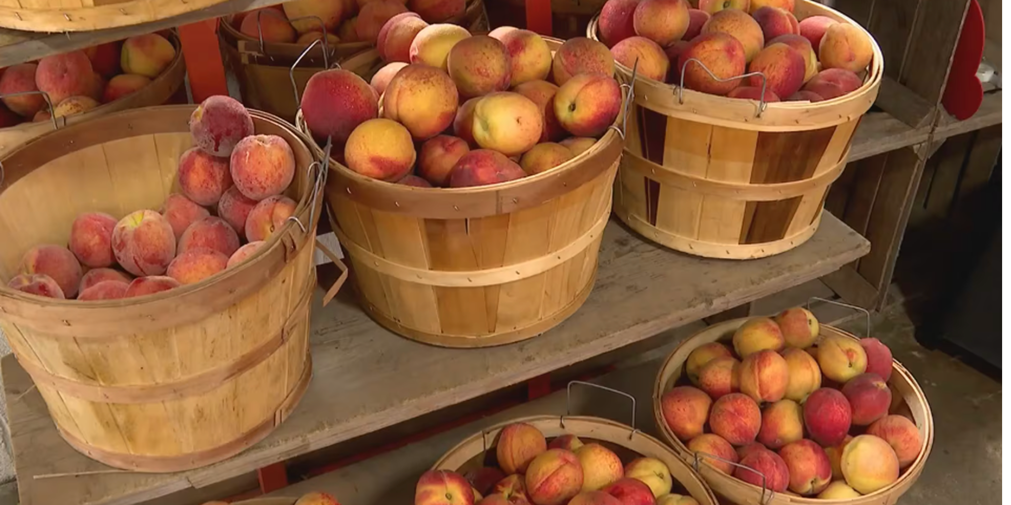 Farmers report lighter peach, berry crops in Southeast Texas