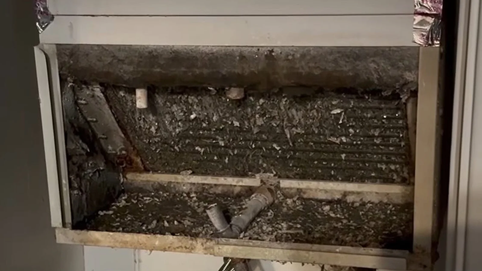 Bay City Apartment Inspections Expose Structural Failures, Tenant Rights at Stak
