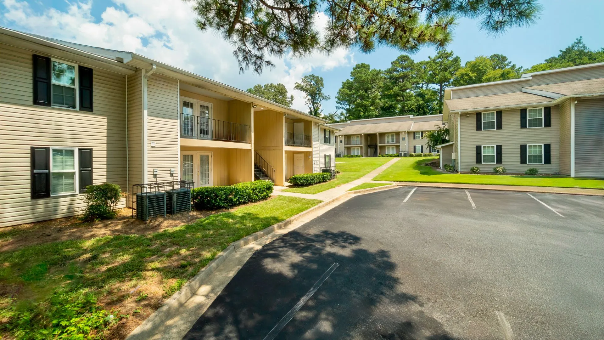 Interior Framing Begins
