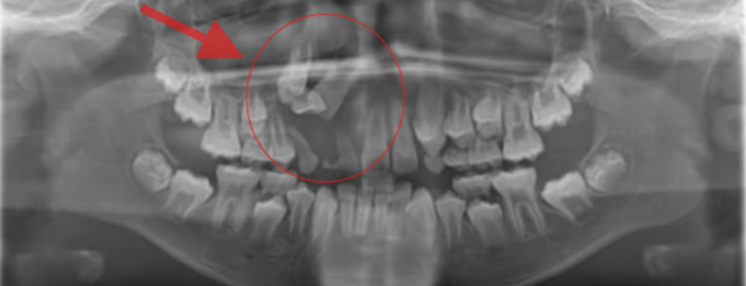 Orem Orthodontist team in Orem, Utah