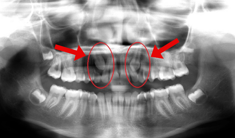 Orem Orthodontist team in Orem, Utah