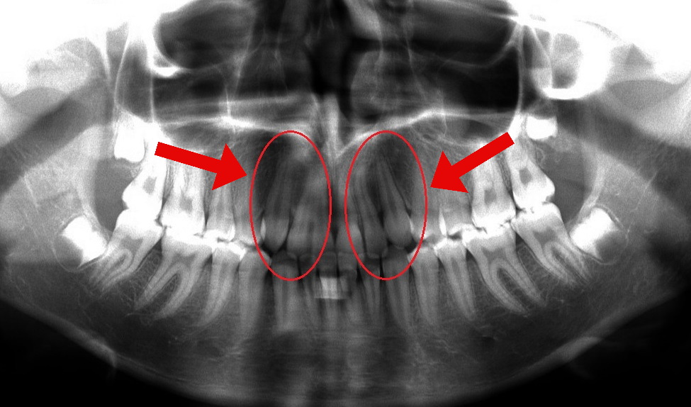 Orem Orthodontist team in Orem, Utah