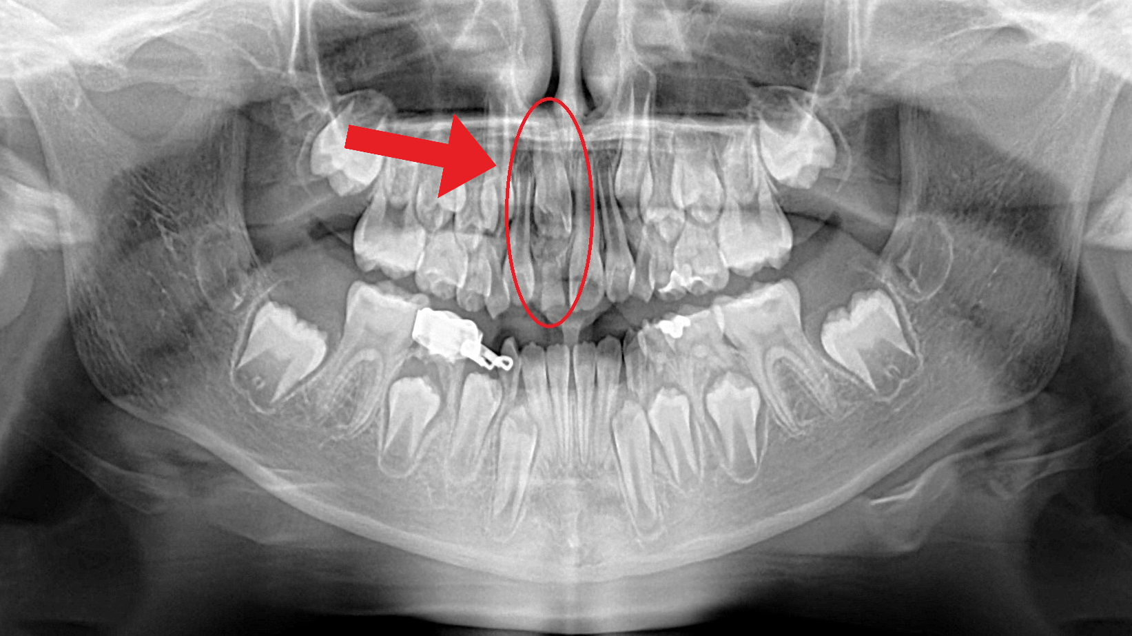 Orem Orthodontist team in Orem, Utah