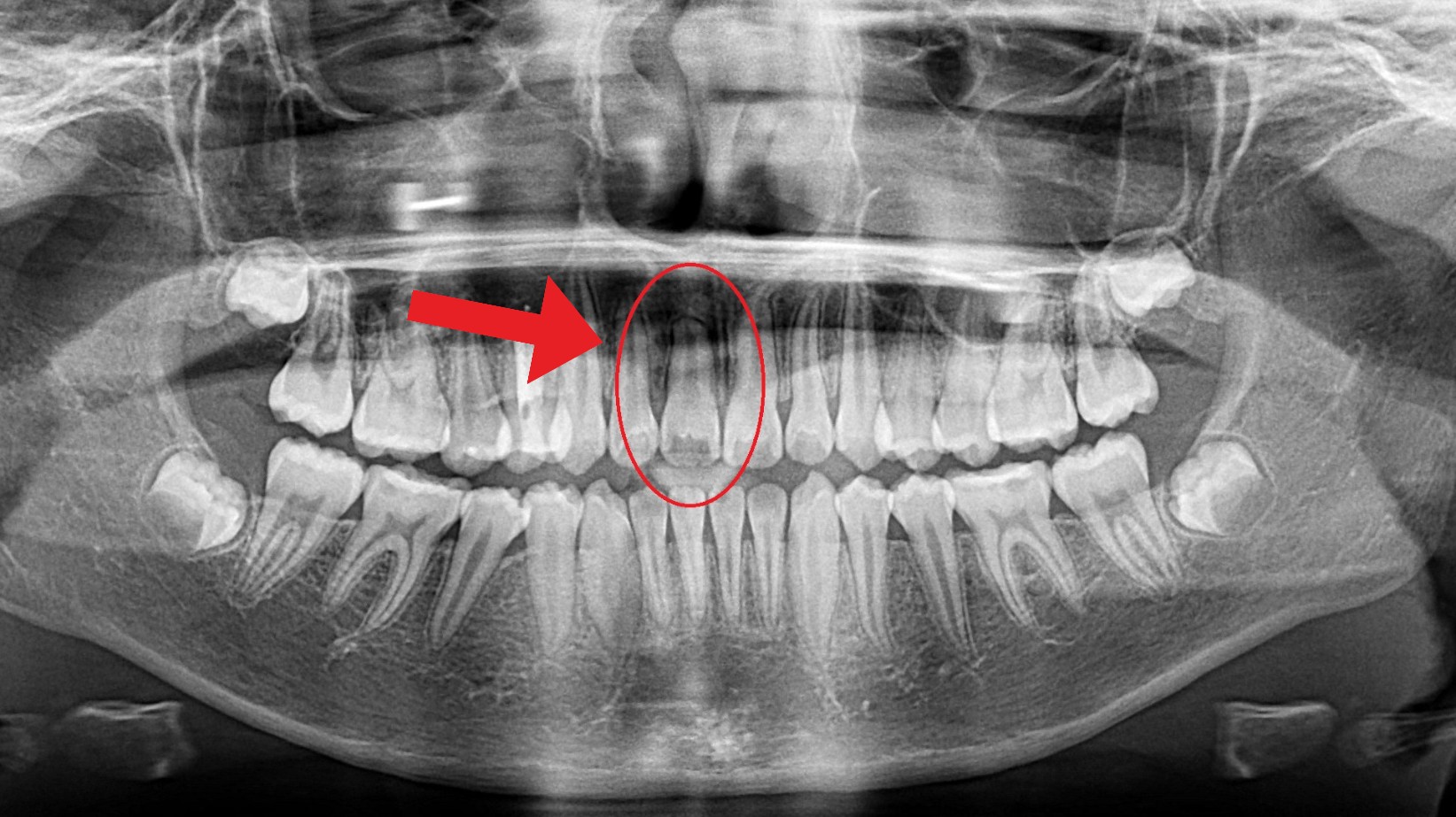 Orem Orthodontist team in Orem, Utah