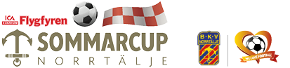 Flygfyren Sommarcup