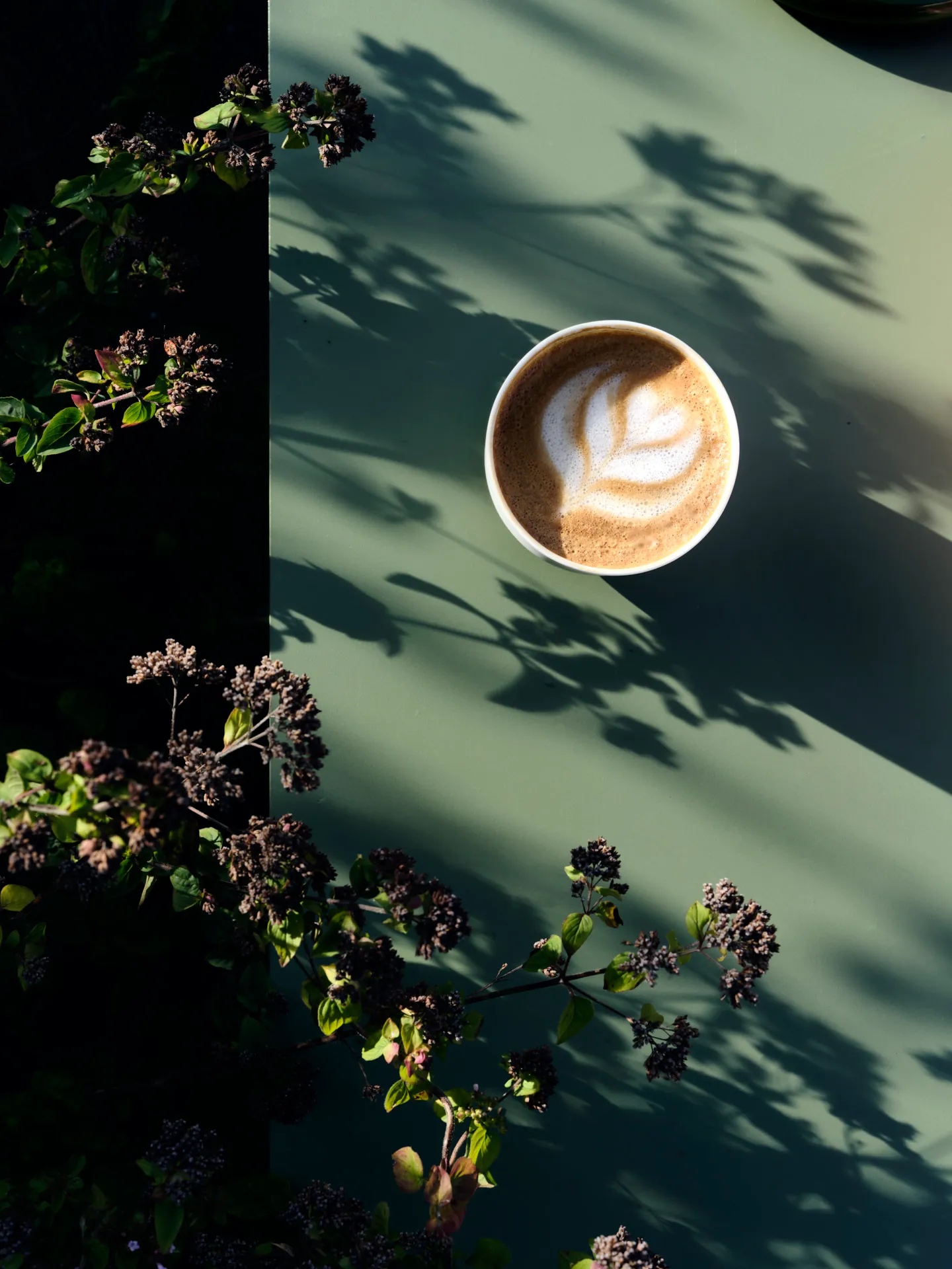 Eine Tasse Latte Macchiato mit Milchschaumkunst liegt auf einem grünen Tisch, umgeben von Pflanzen und Pflanzenschatten.