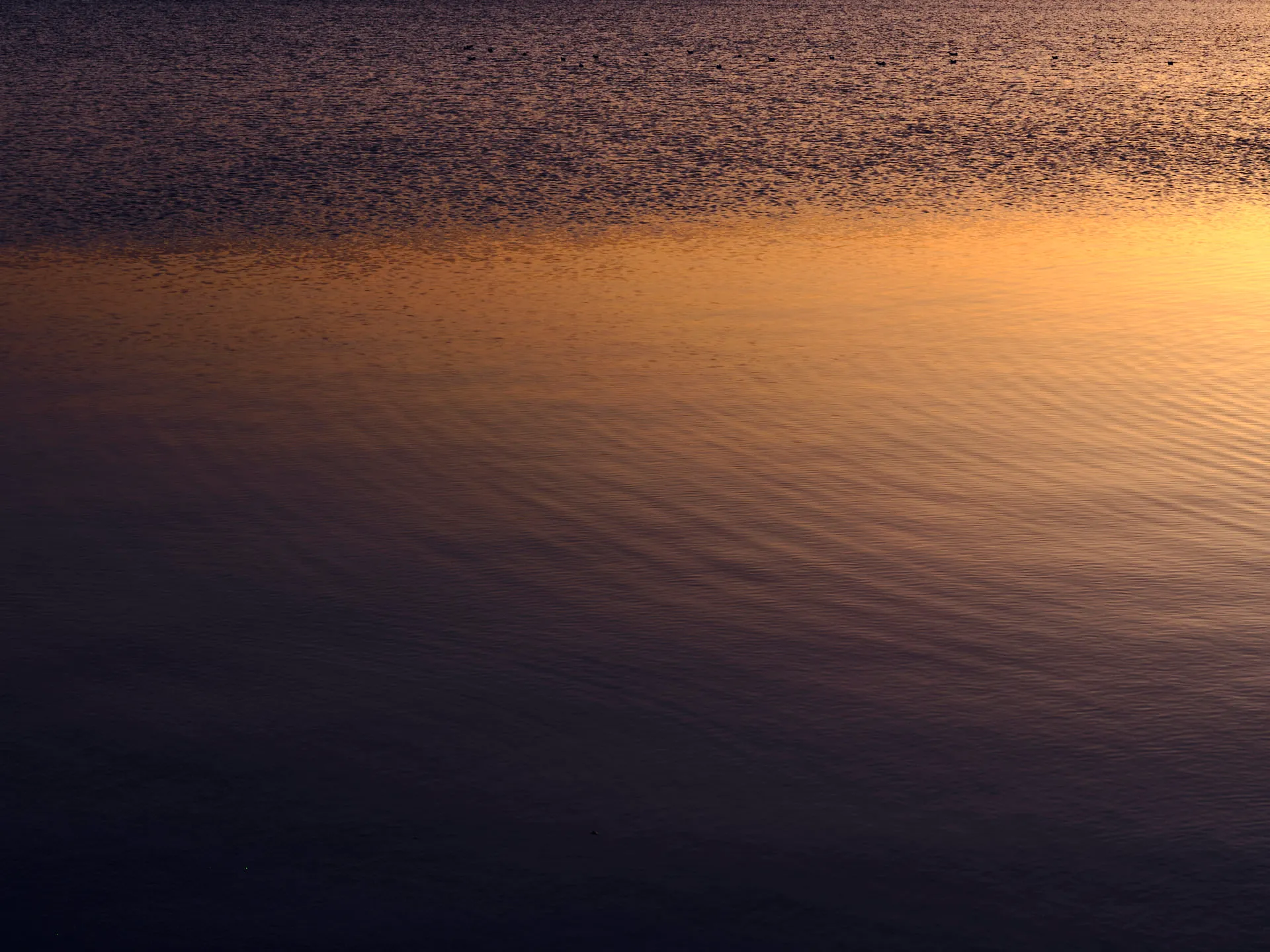 Wasseroberfläche bei Sonnenuntergang mit sanften Wellen und einem Farbverlauf von dunklem Violett zu hellem Orange.