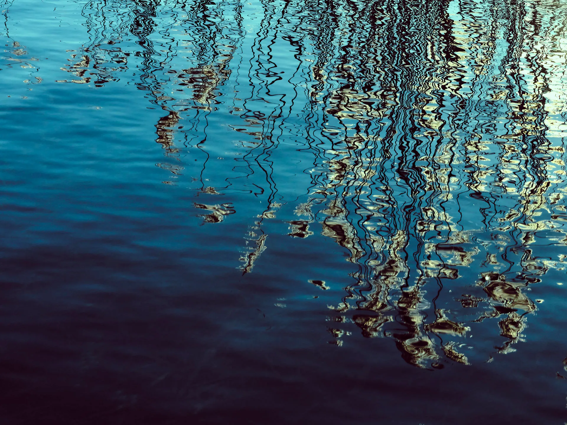 Spiegelung von dünnen, unregelmäßigen Pflanzenstängeln und -blättern im blauen, leicht bewegten Wasser.