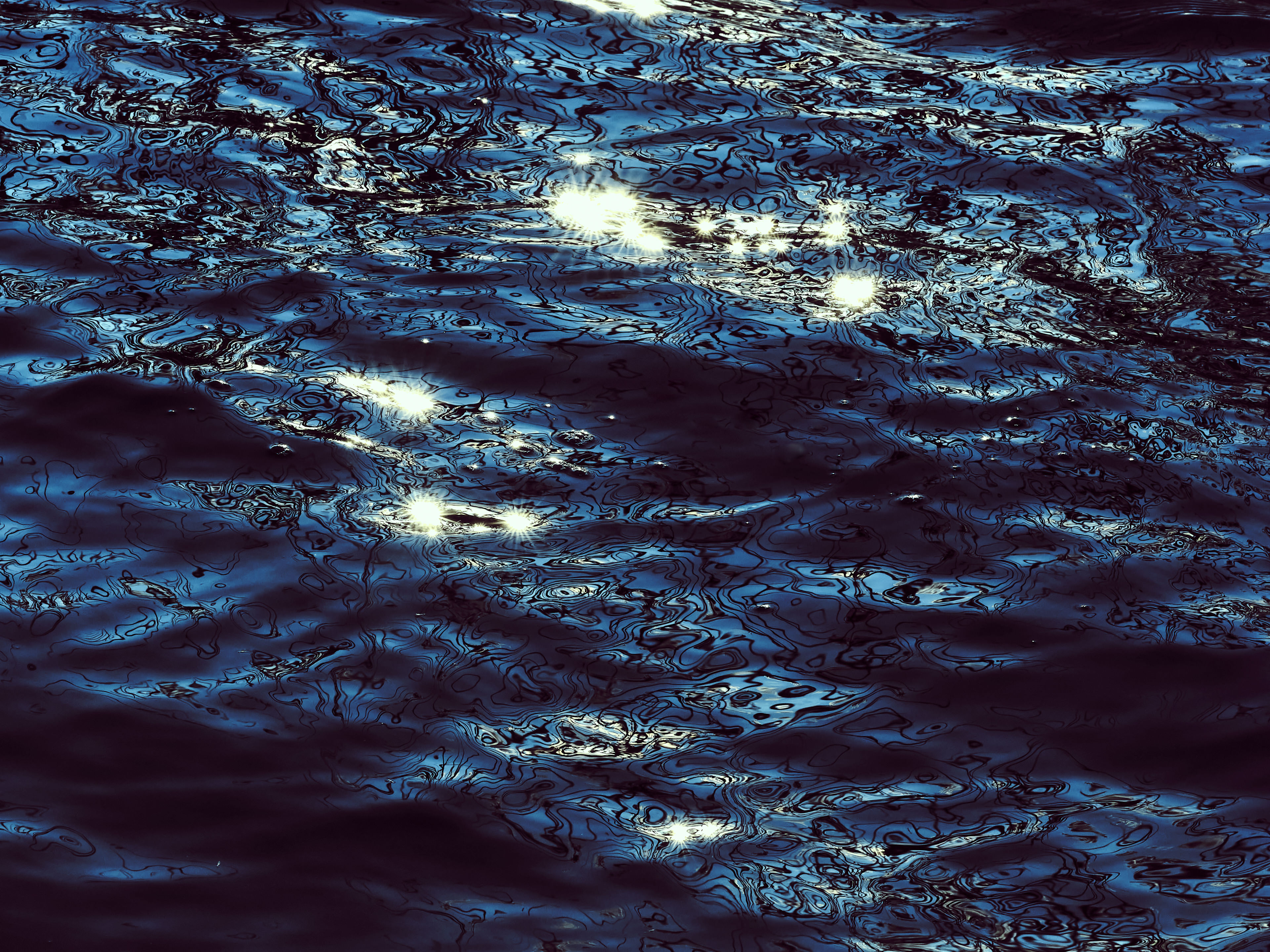 Chromaphytes 2 