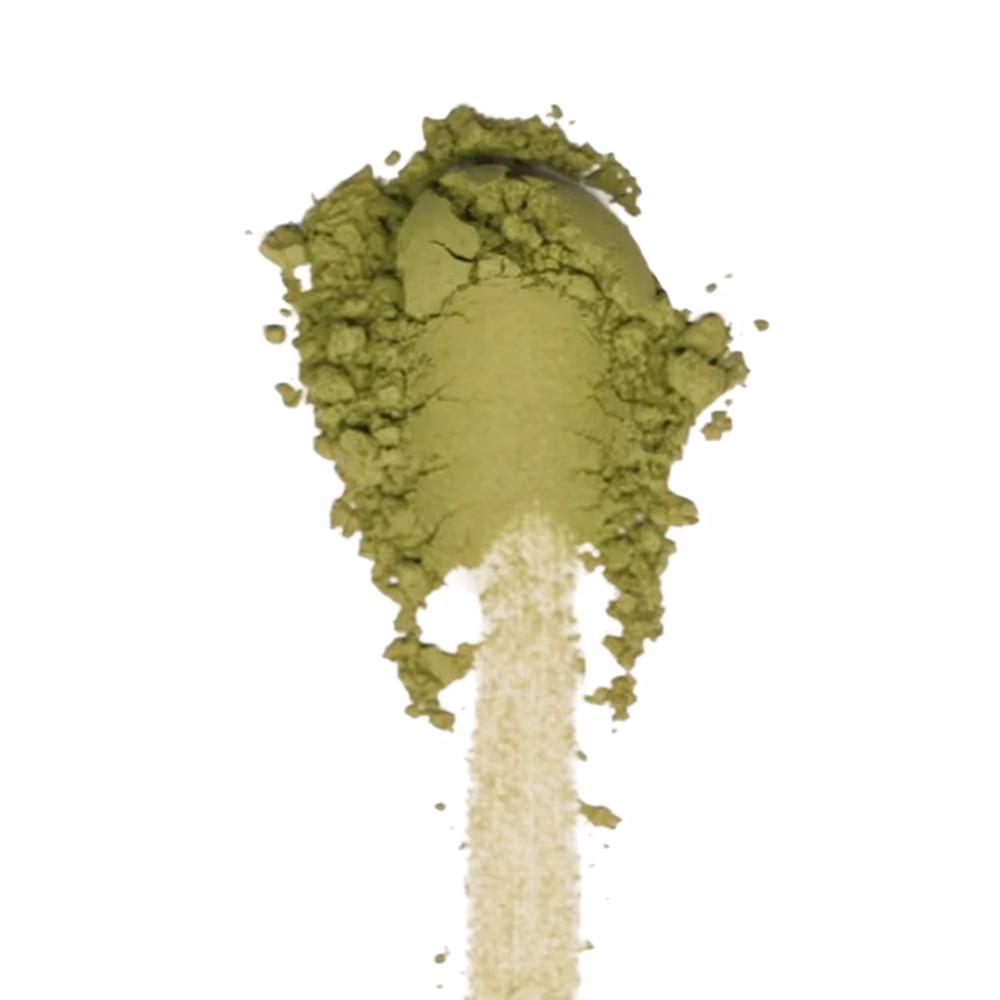 Matcha-Pulver aus der Sommerernte, olivgrün