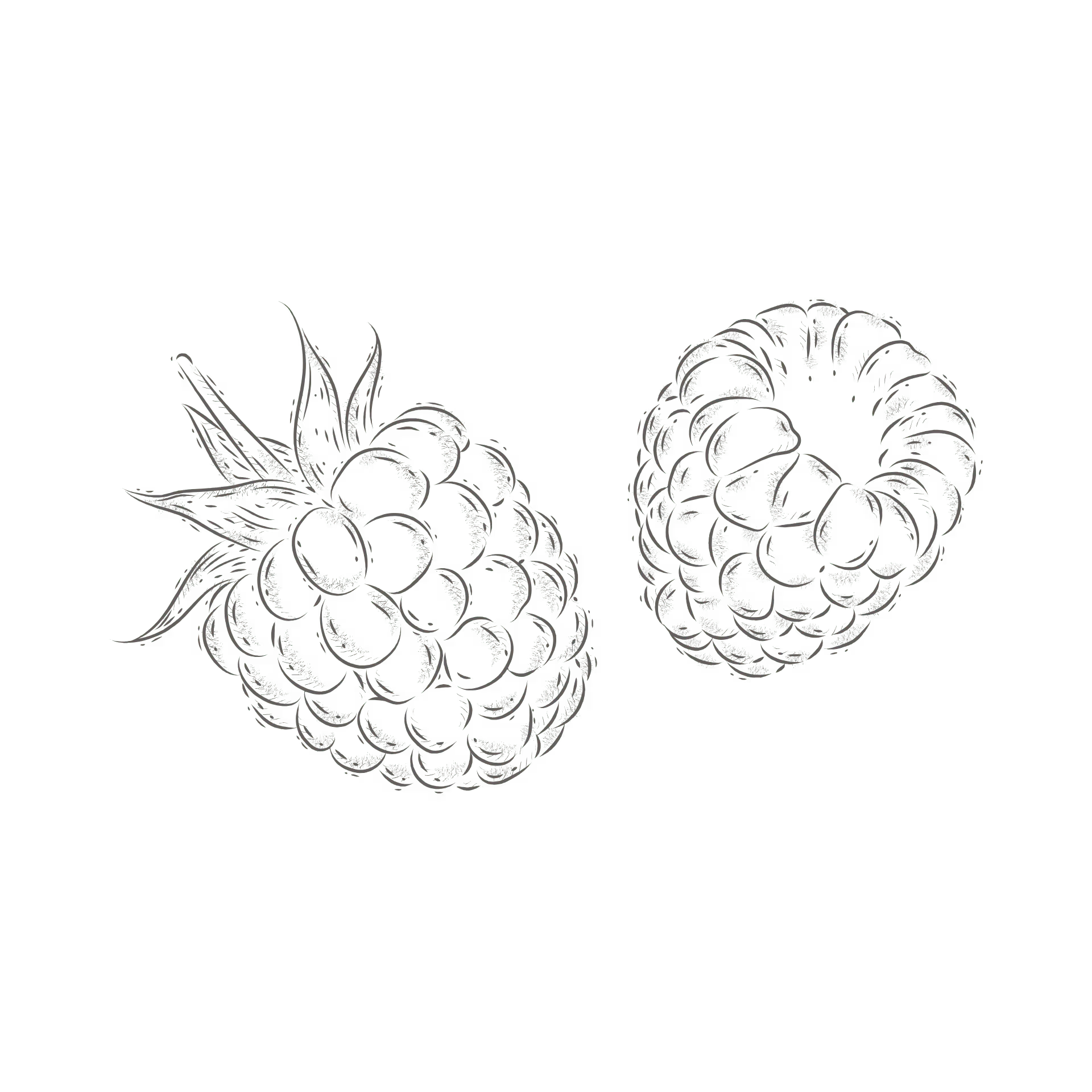 raspberry