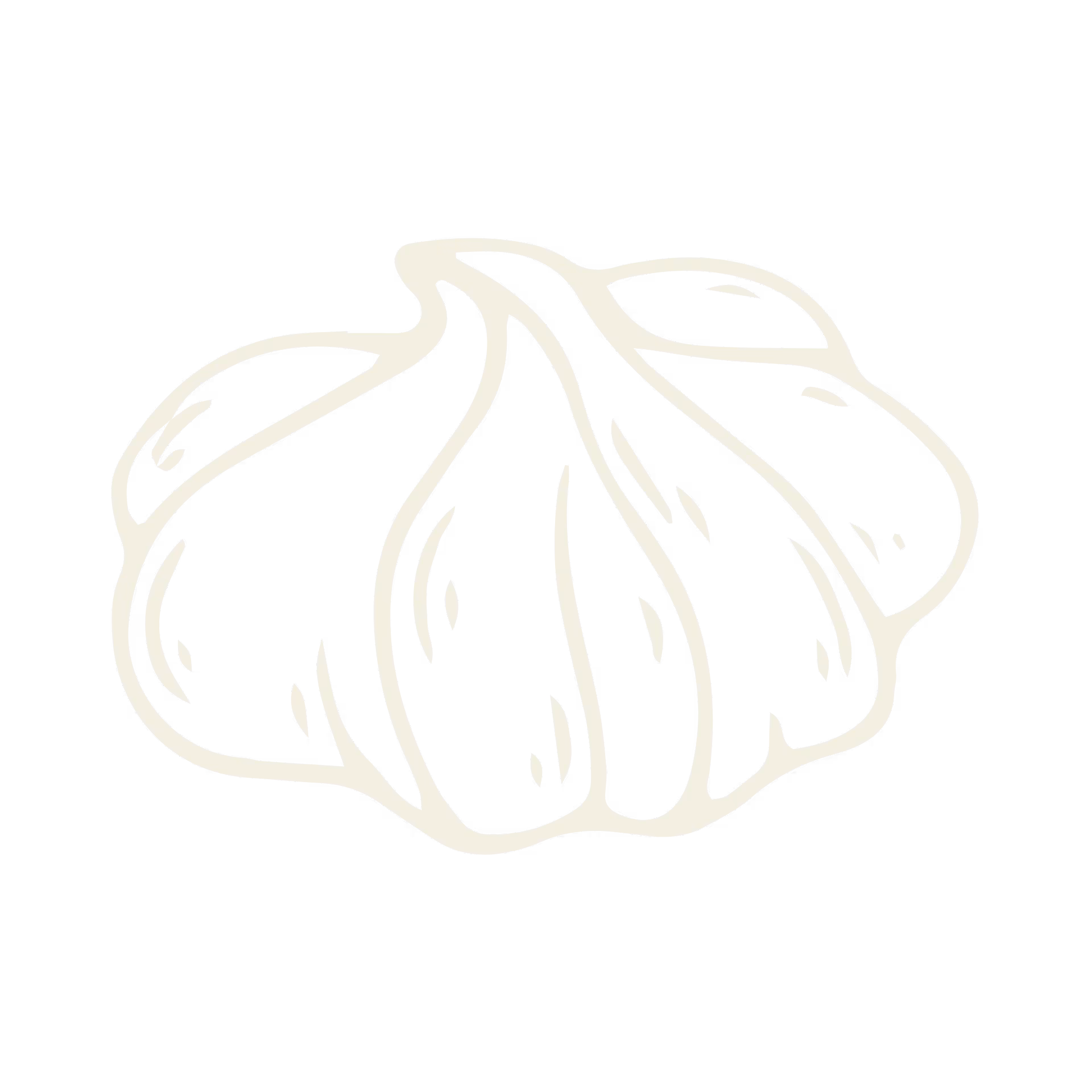 Line drawing of a garlic bulb with several cloves.