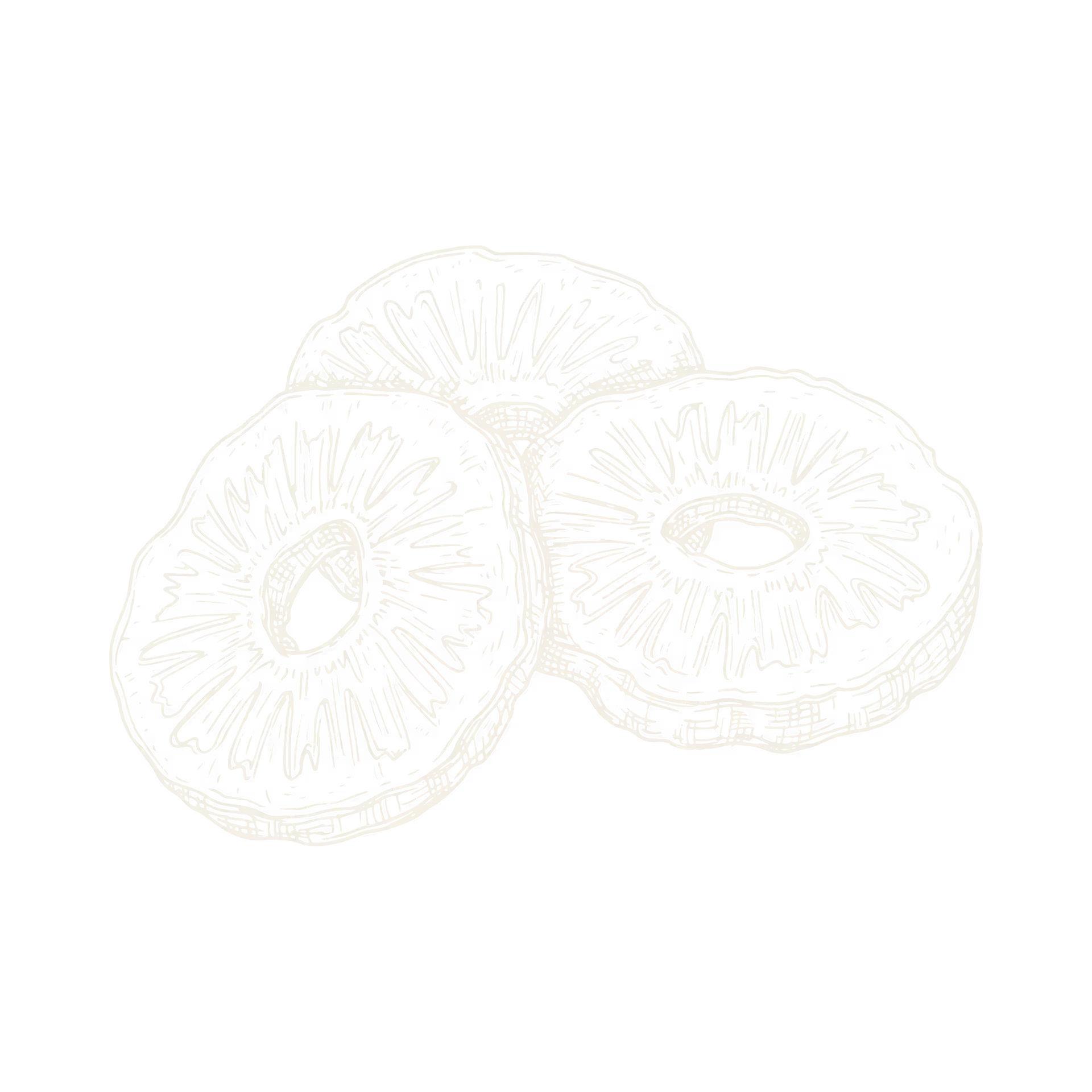 Hand-drawn illustration of three dried fruit slices with a hole in the center.