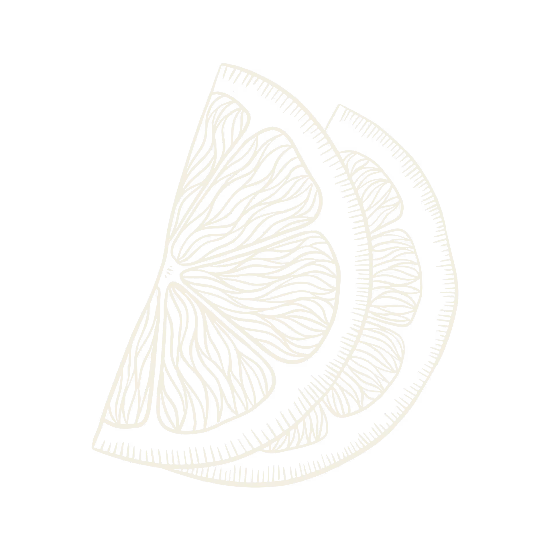 Detailed white line drawing of two overlapping orange slices on black background.