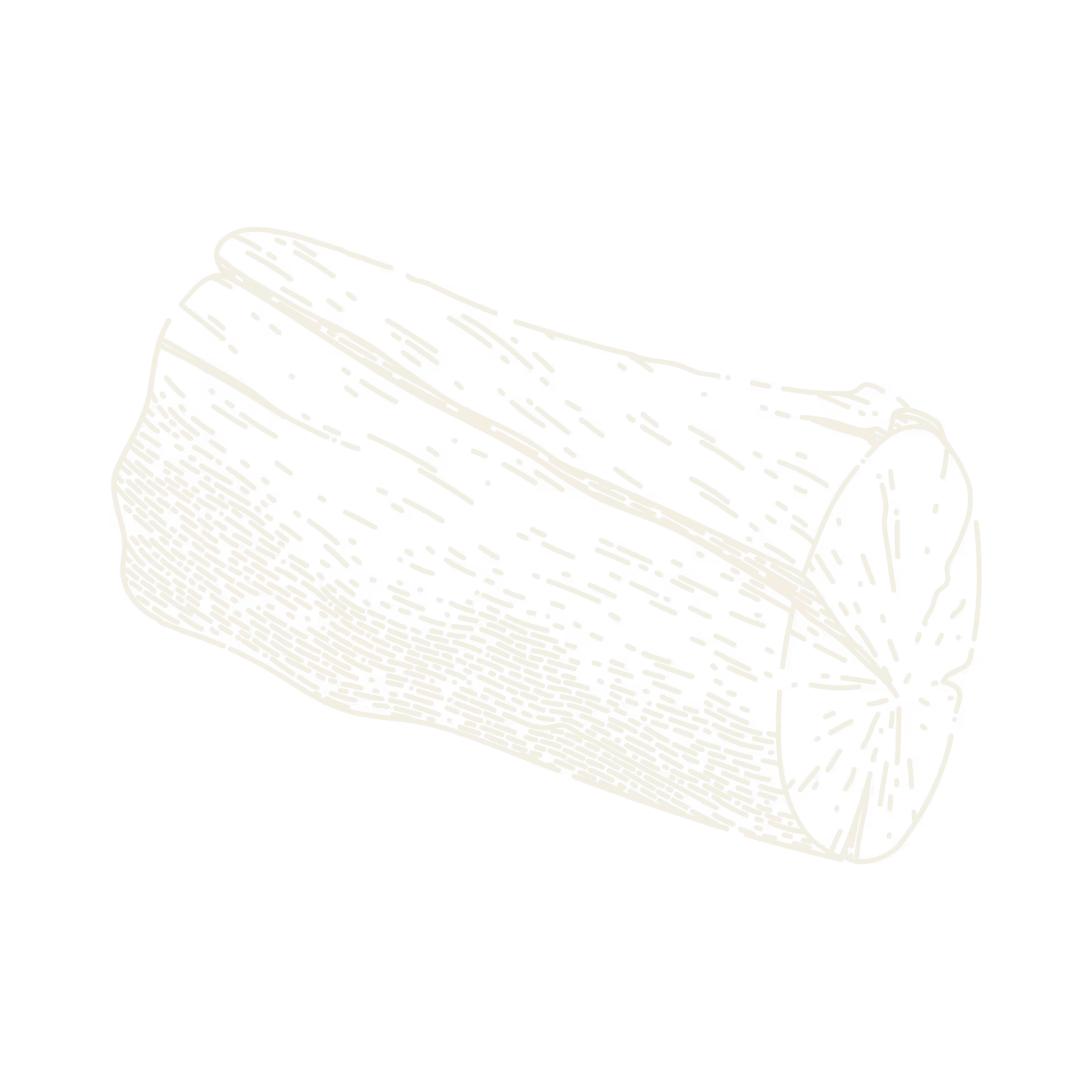 Detailed black and white sketch of a wooden log with visible grain and bark texture.