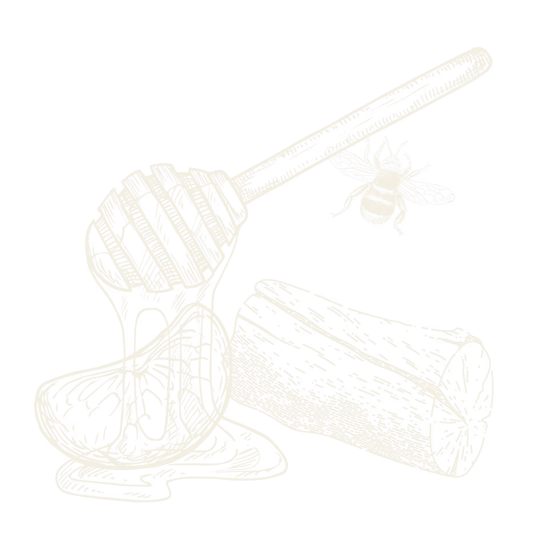 Honey dipper dripping honey, a lemon slice, a wooden log, and a flying bee sketch.