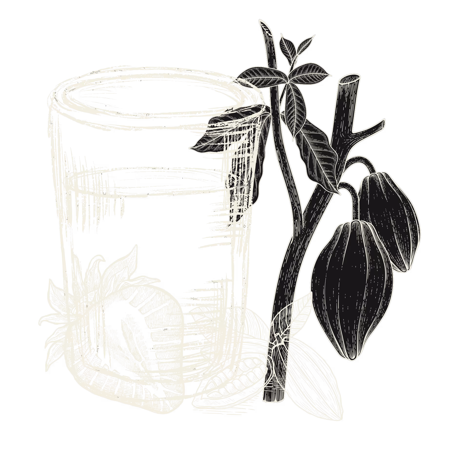 Line drawing of a glass with a strawberry, a cacao pod plant branch, and cacao pods.