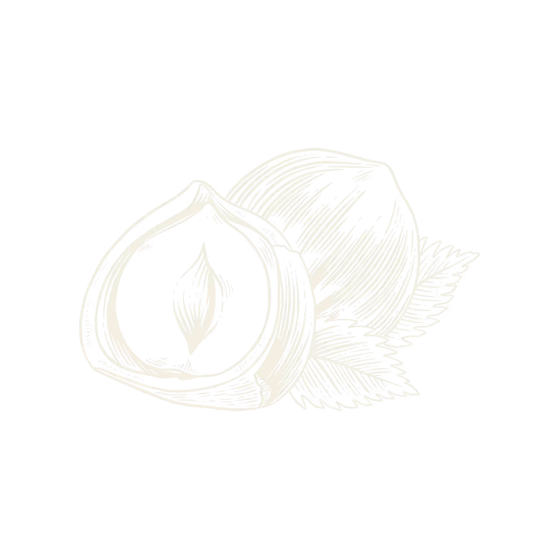 Black and white sketch of a whole hazelnut and a halved hazelnut with leaves.