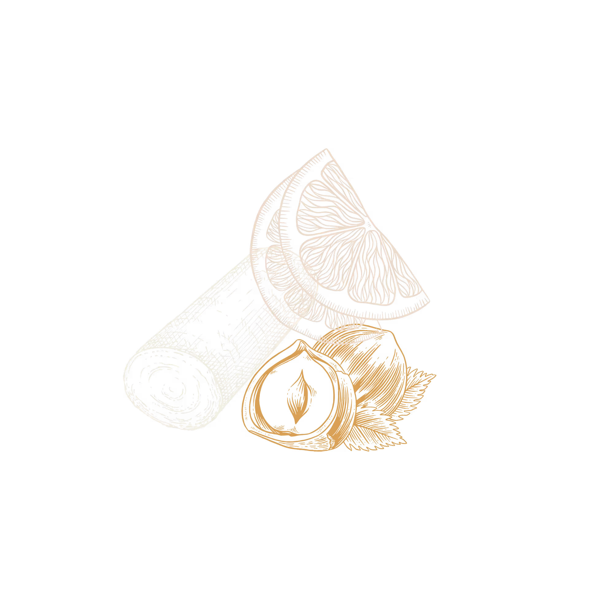 Hand-drawn illustration of a rolled cinnamon stick, a lemon slice, and two hazelnuts with leaves on a black background.