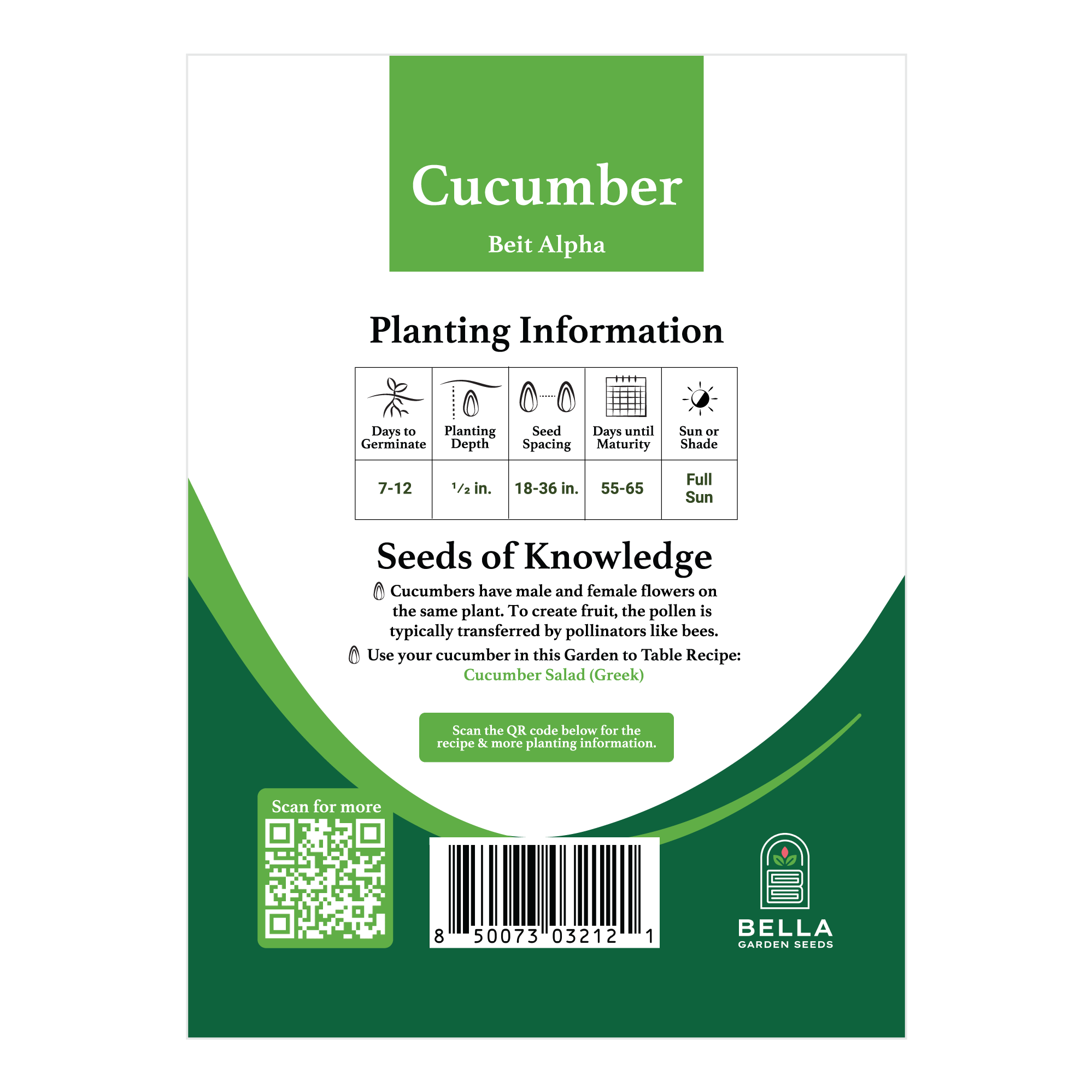 Beit Alpha Cucumber packet back, planting depth, spacing, and grow tips