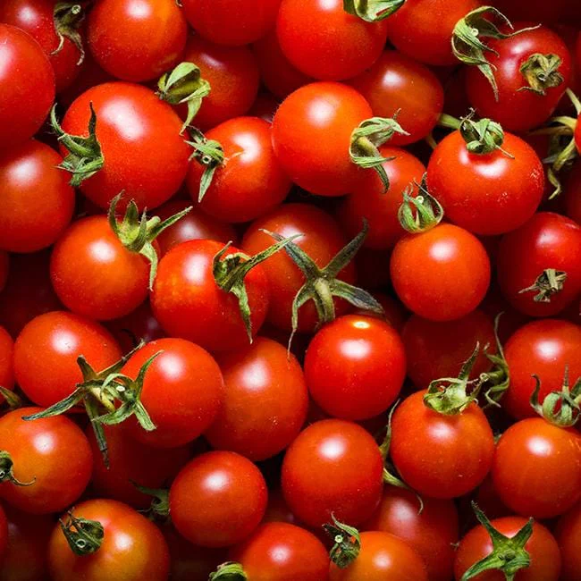 Large Red Cherry Tomato, additional product photo