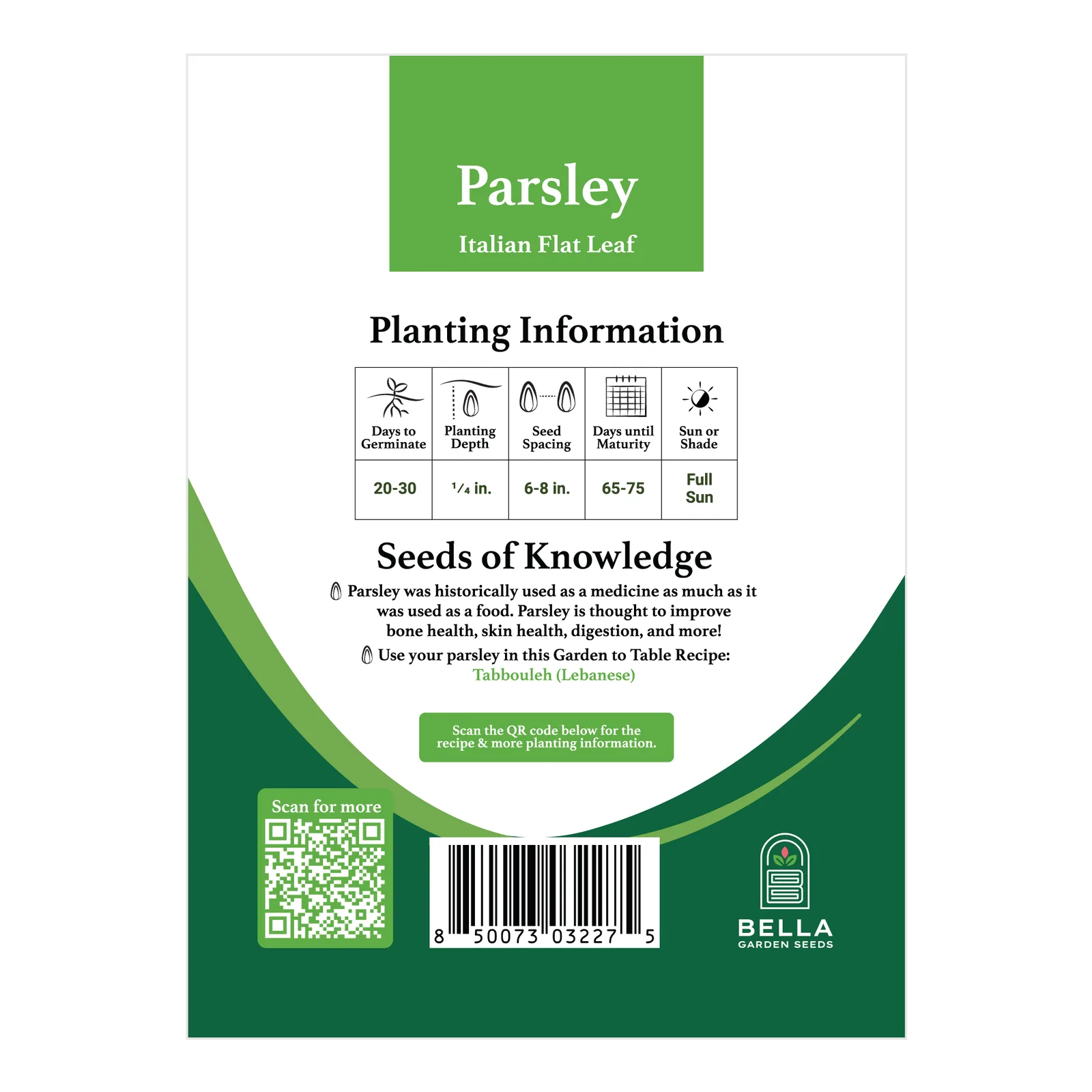 Italian Flat Leaf Parsley, fresh harvest or mature plant