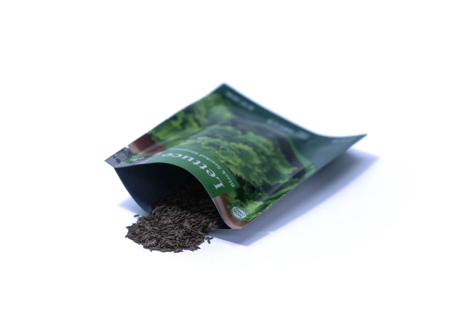 Black Seeded Simpson Lettuce, fresh harvest or mature plant