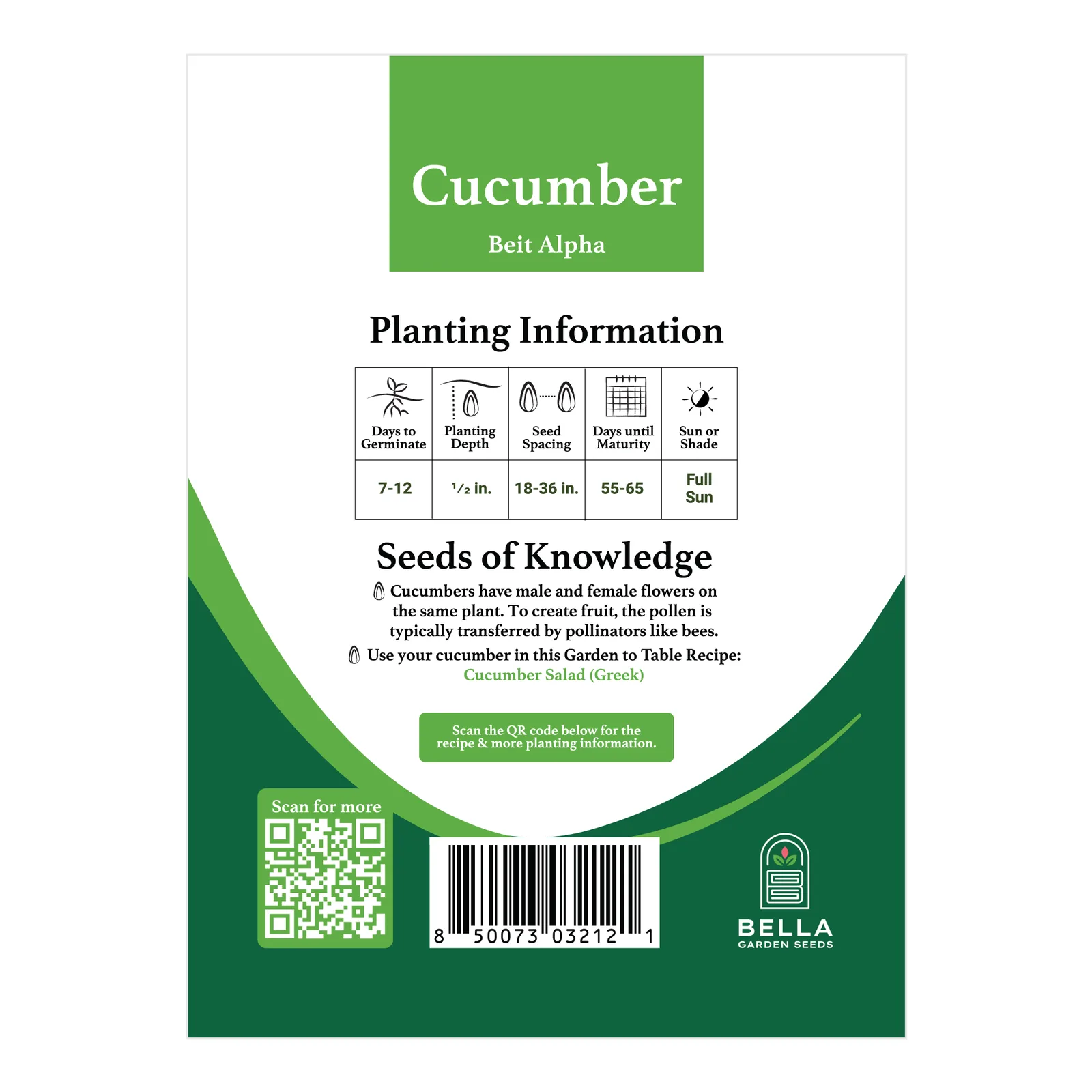 Beit Alpha Cucumber packet back, planting depth, spacing, and grow tips