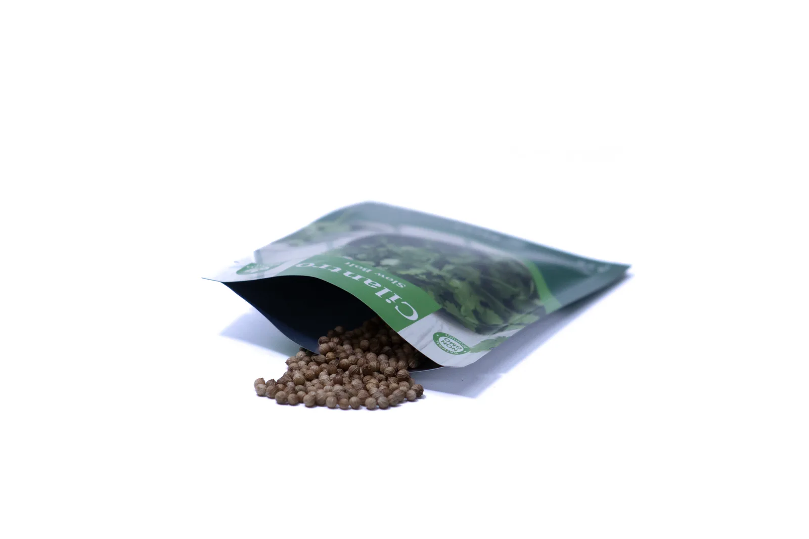 Slow Bolt Cilantro — seeds and fresh harvest