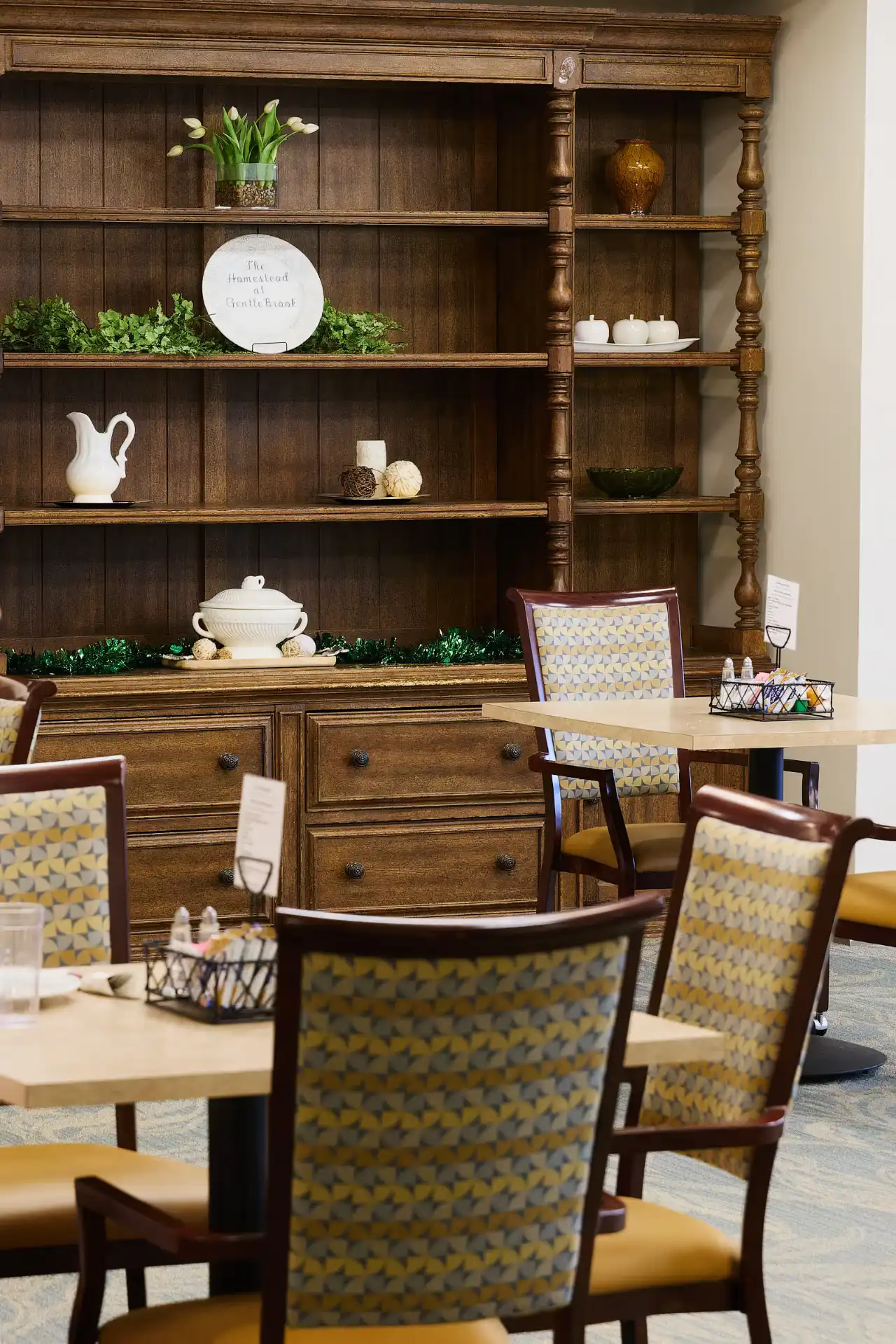 The HomeStead - Assisted Living North