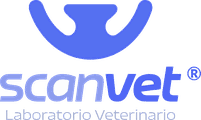 Scanvet Laboratorio Veterinario