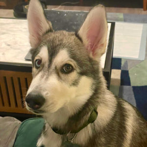Crunch Consulting team member