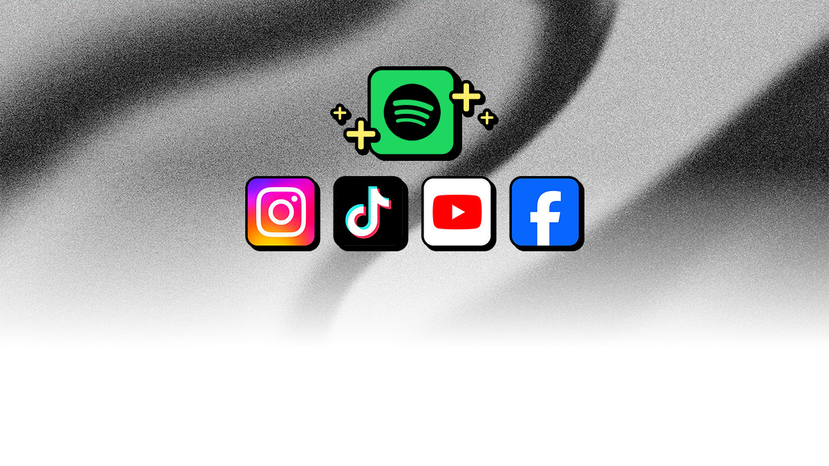 Illustration showing Spotify's logo surrounded by plus signs, above logos for Instagram, TikTok, YouTube, and Facebook—representing the platforms in DistroKid's Social Media Pack.