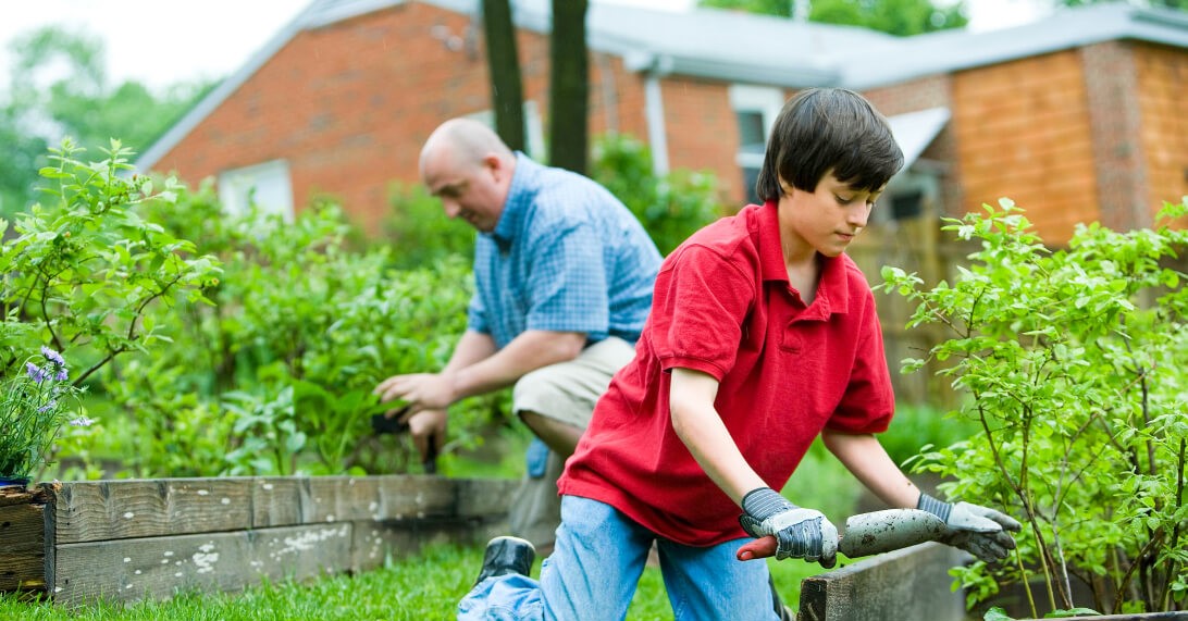 Tips to Successfully Grow Your Home Garden