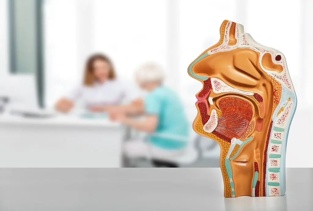Head and Neck Disorders