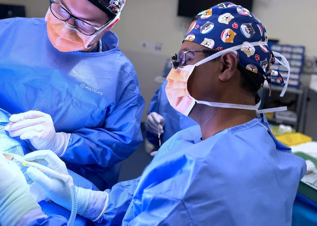 Hills Surgical Oncology Dr Muzib Abdul-Razak Surgical Oncologist Head and Neck Surgeon Sydney Hills Wahroonga