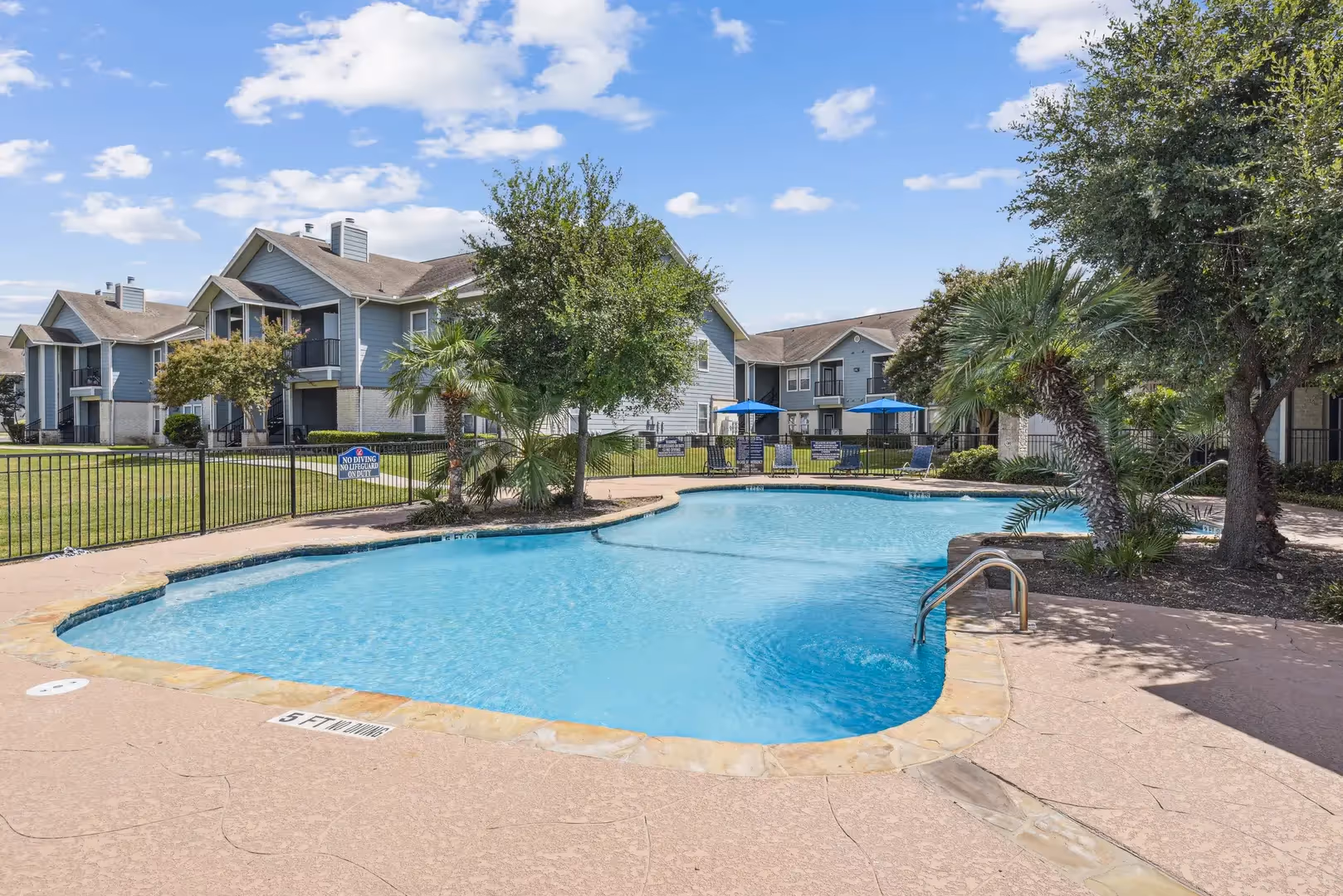 Pool and trees