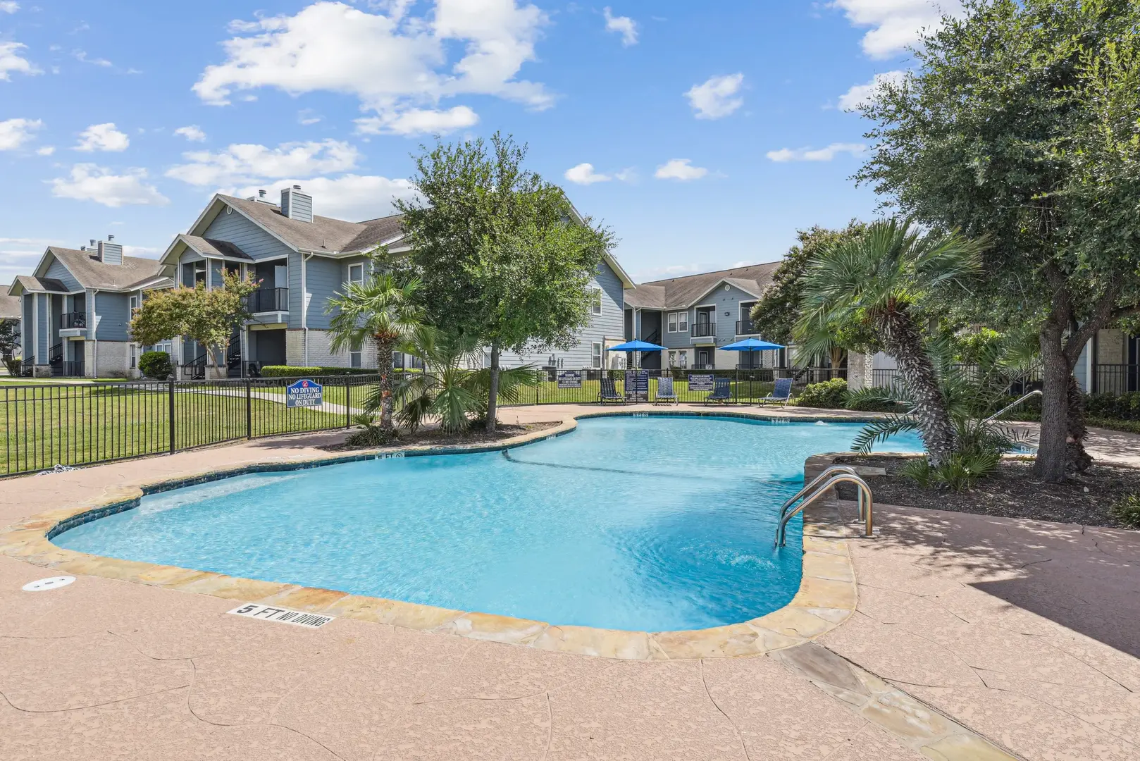 Pool and trees