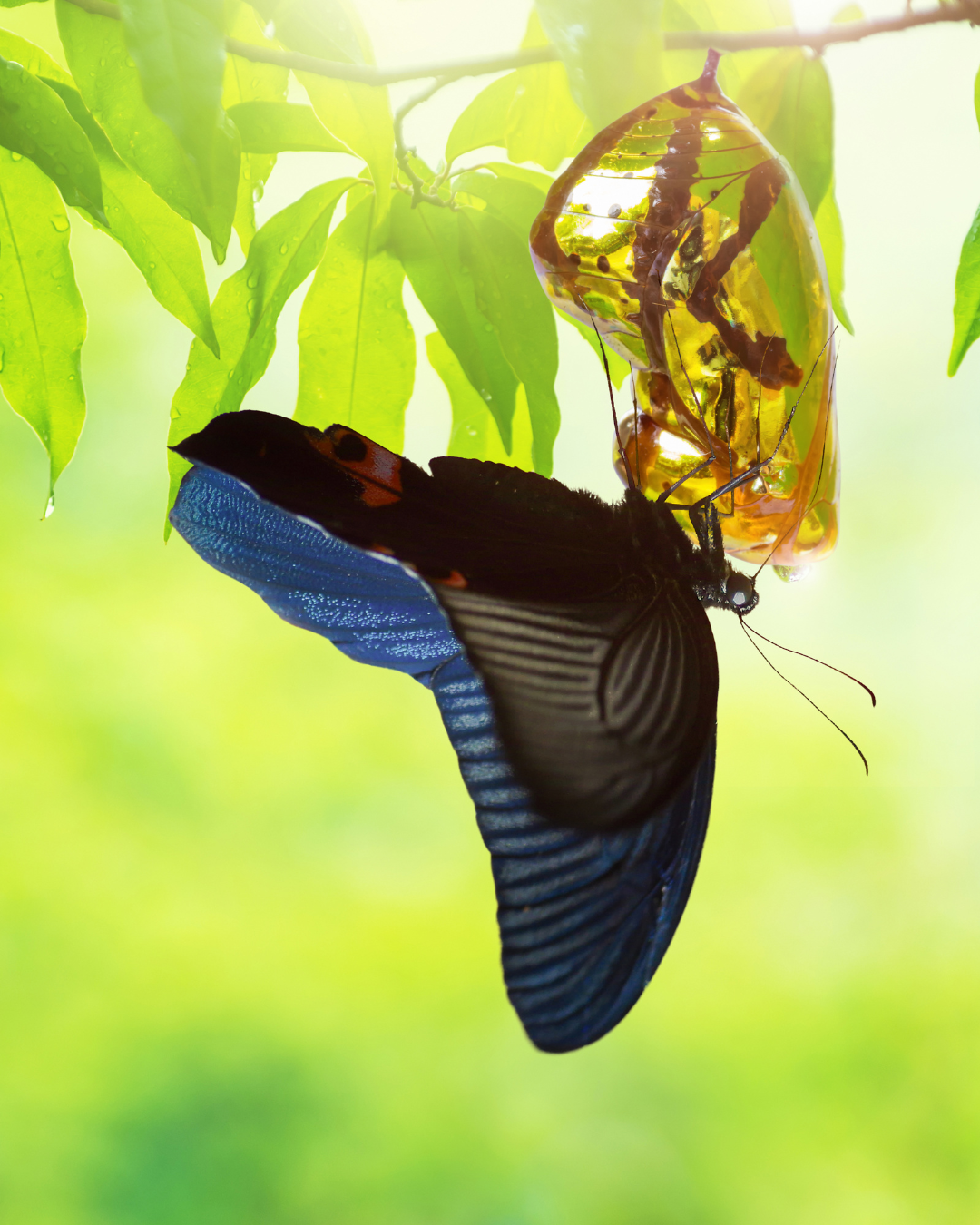 What Are The Stages of Change and How Do They Apply to Recovery?
