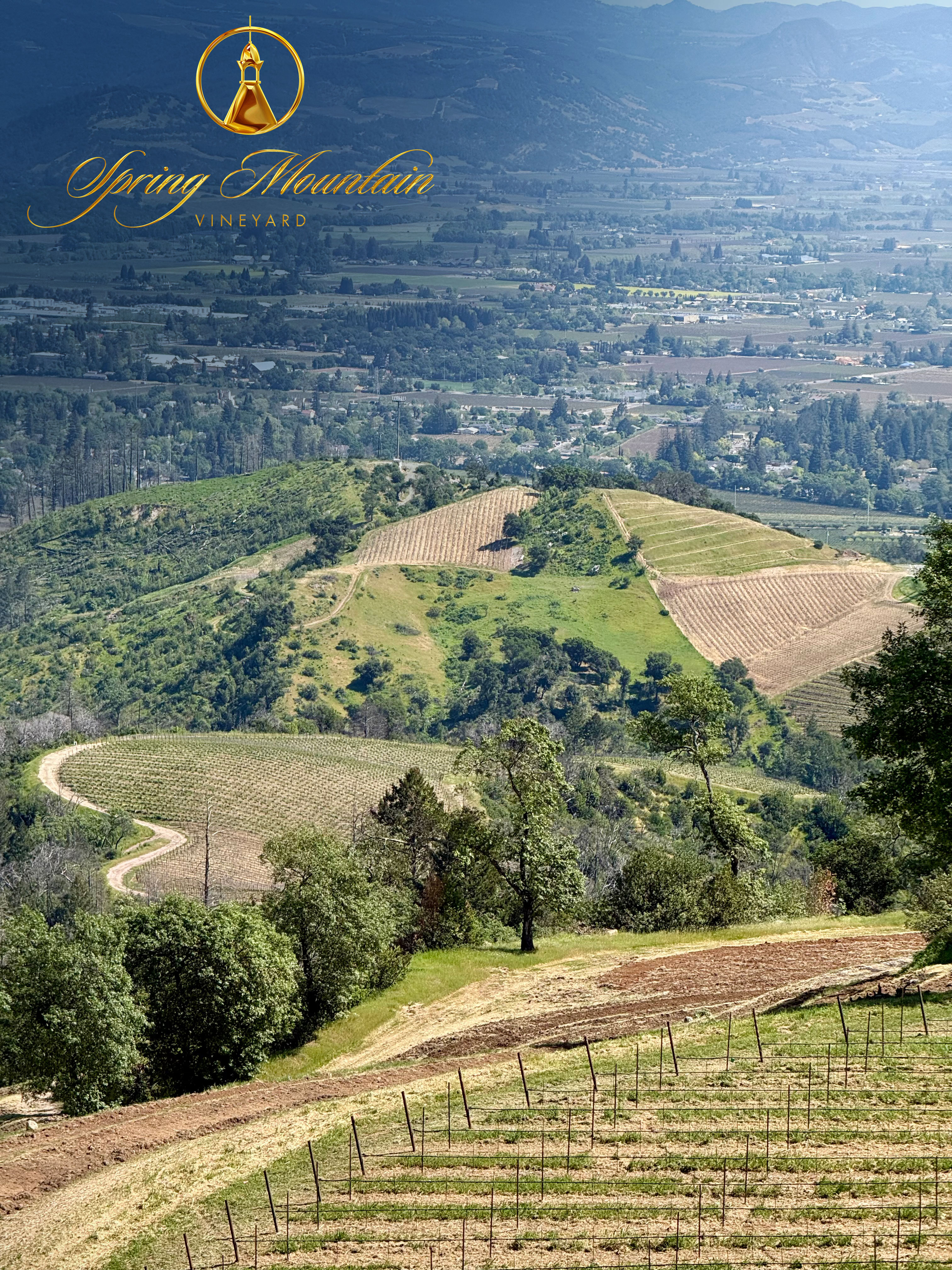 Spring Mountain Vineyard hilltop view of the valley below