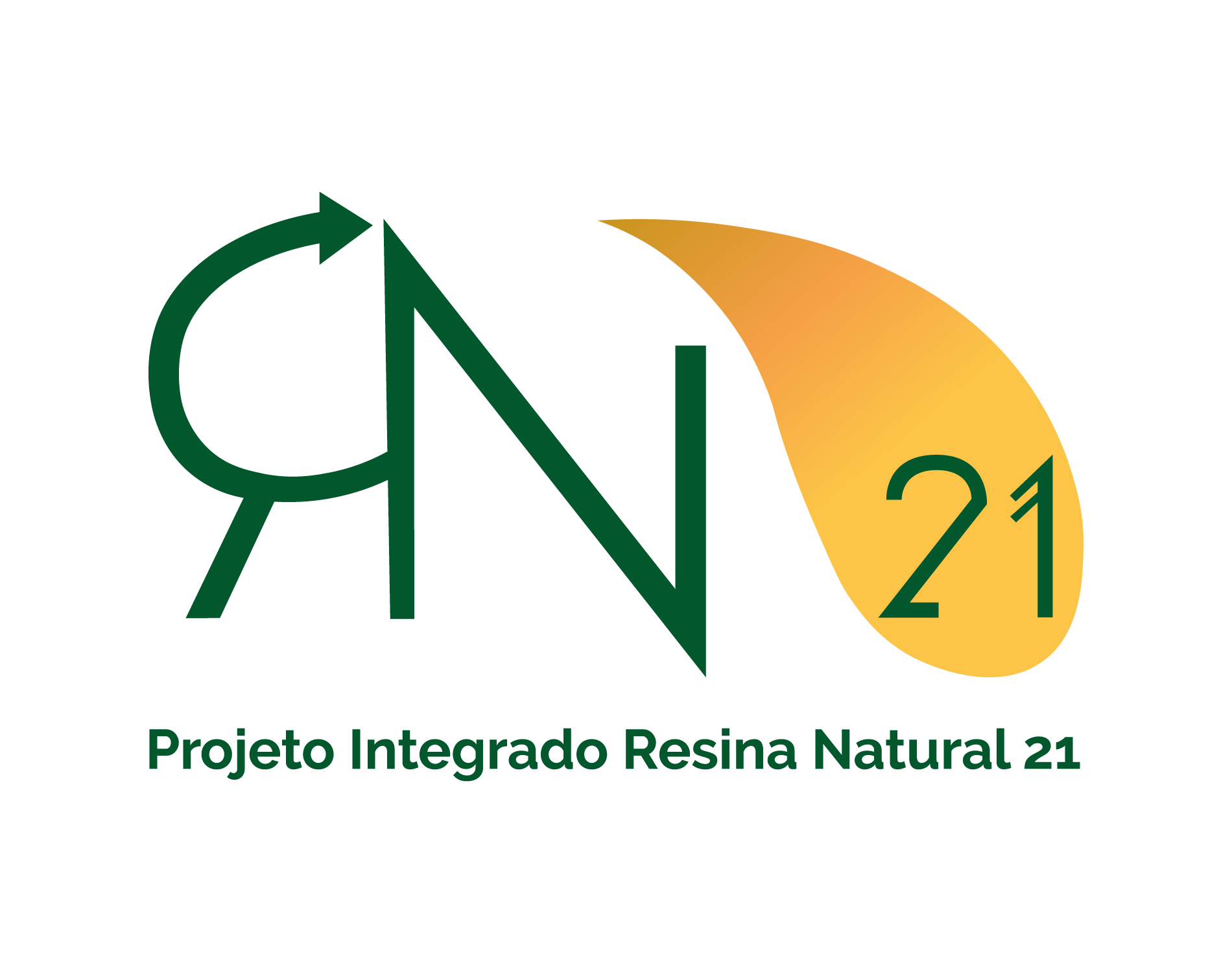 Integrated Project RN21