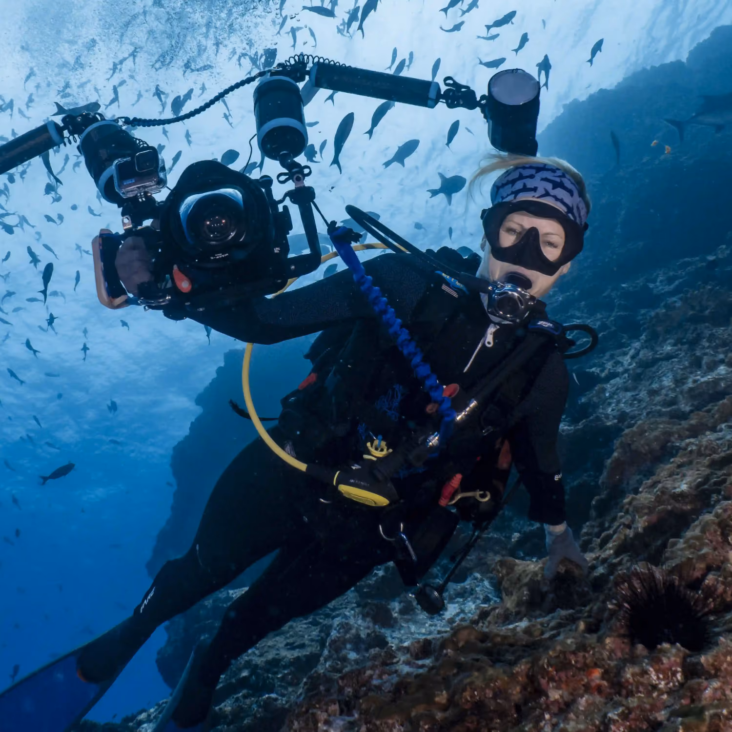 Insider Divers