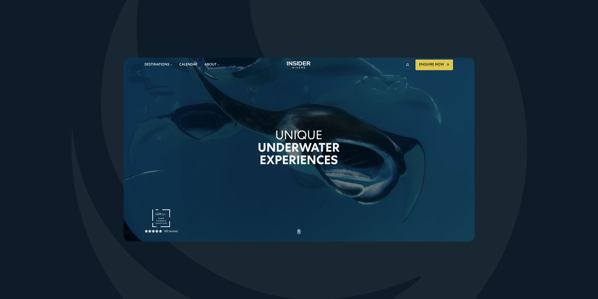 Insider Divers