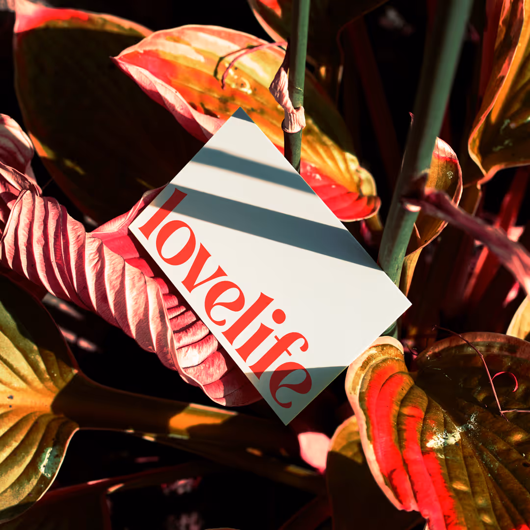 Lovelife business card lay on top of a green plant.