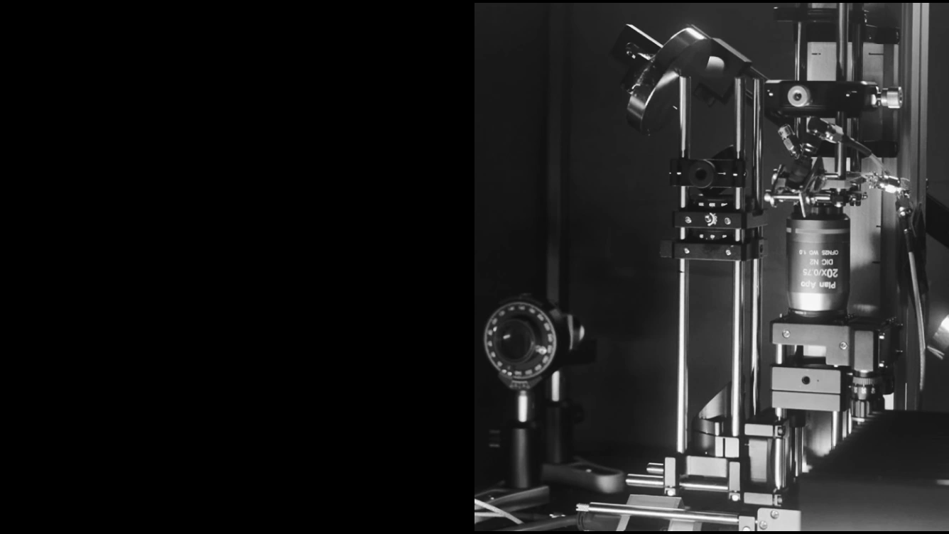 Quantum Diamonds, quantum sensing for semiconductor chip inspection