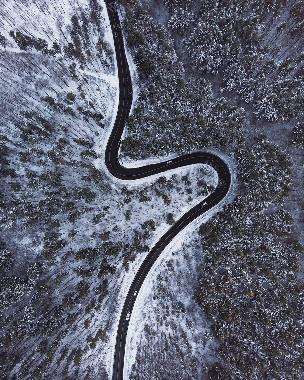 Topside view of a road snaking through a forest | Kelly Agency Images