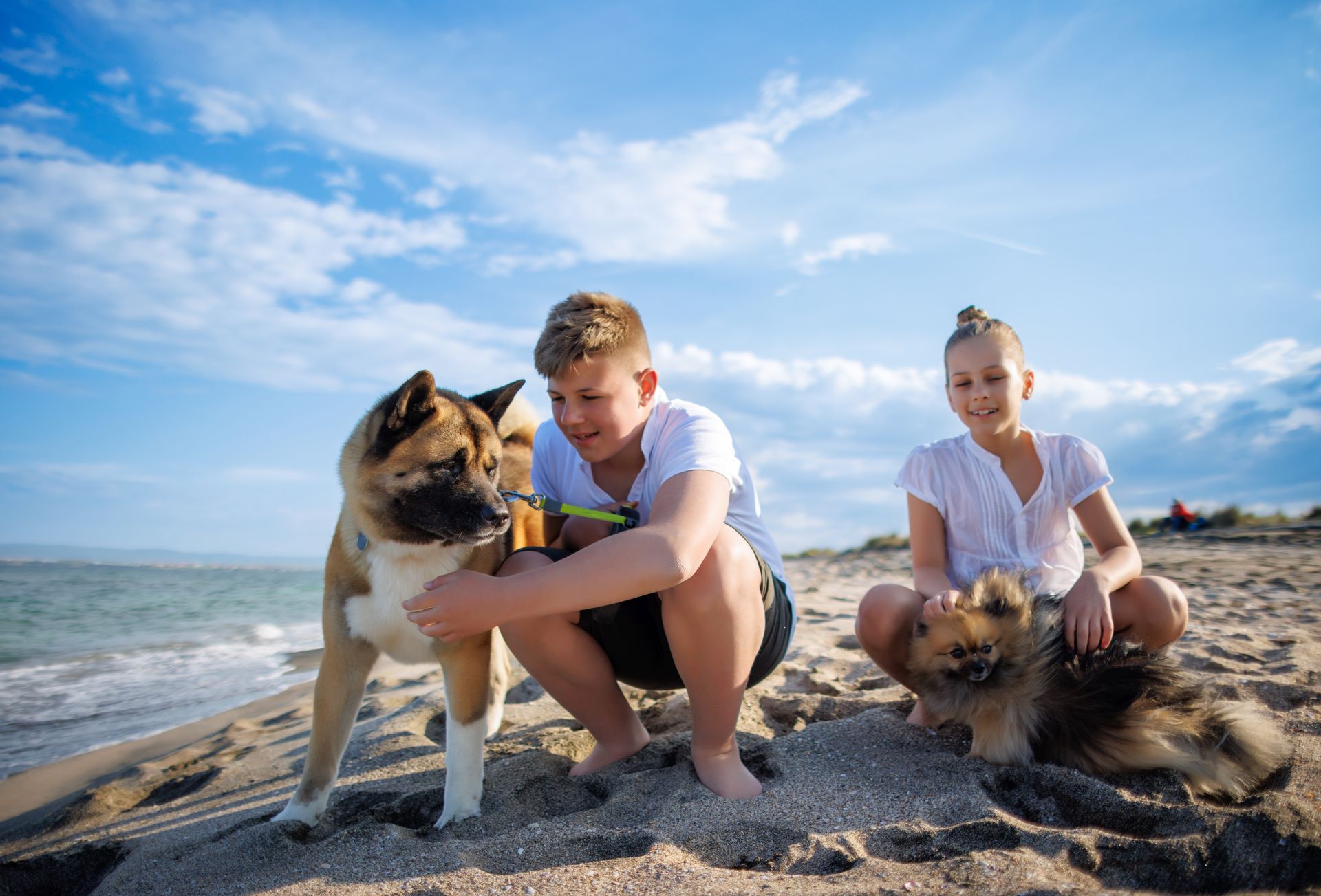 familieweekend met hond